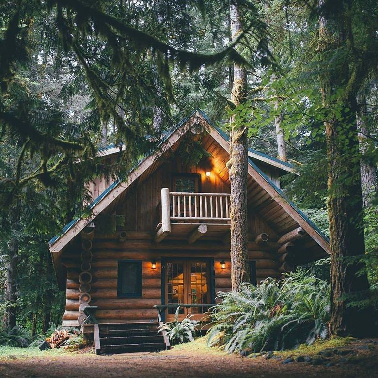 rustic cabin in woods