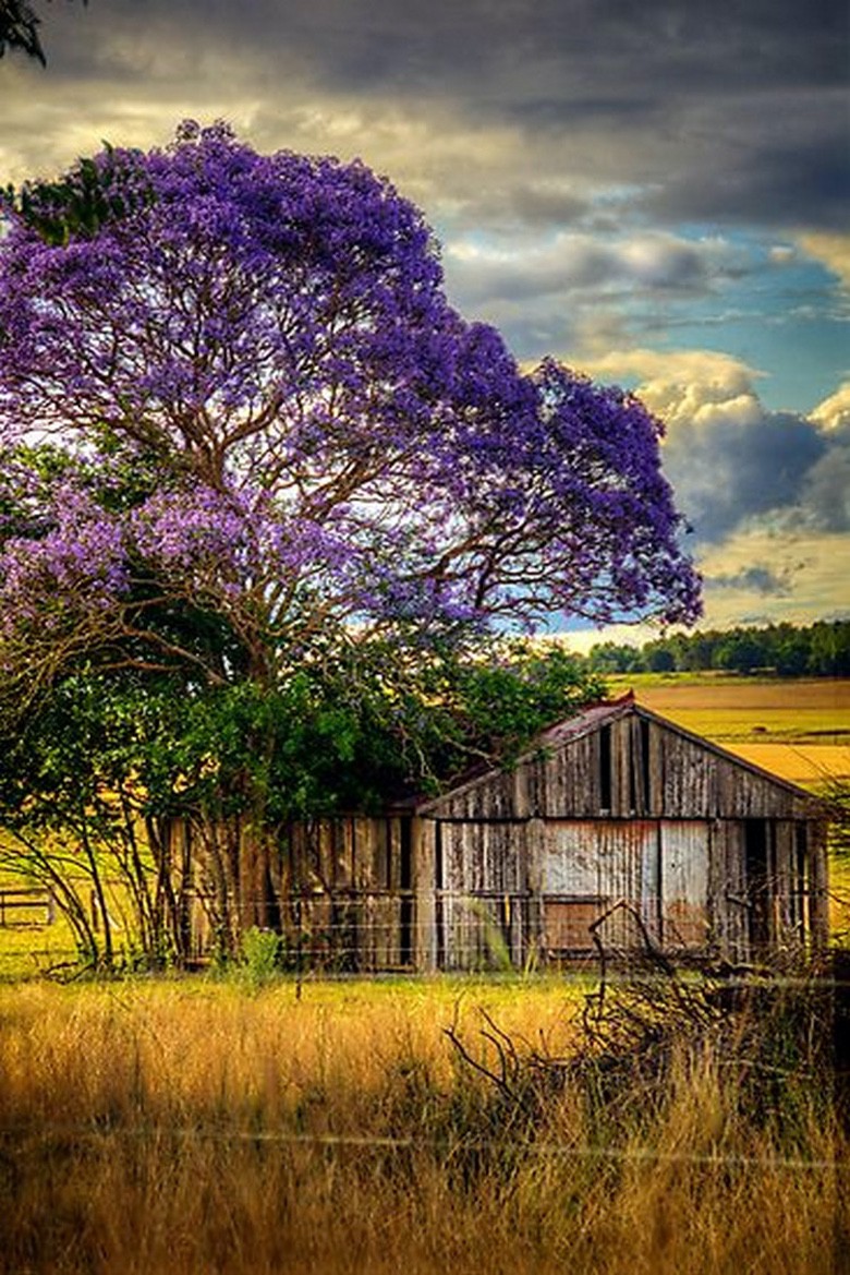 Picturesque Old Weathered Barns (28 Photos) – Suburban Men