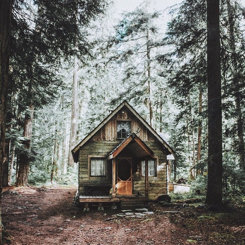 rustic cabin in woods
