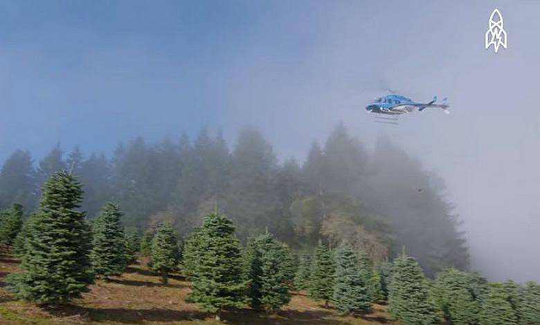 Harvesting a Million Christmas Trees With a Helicopter (Video)