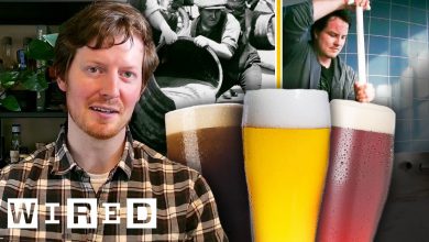 Every Style Of Beer Explained (Video) (1)