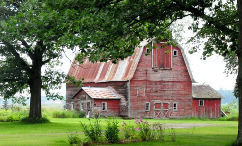 Picturesque Old Weathered Barns (1)