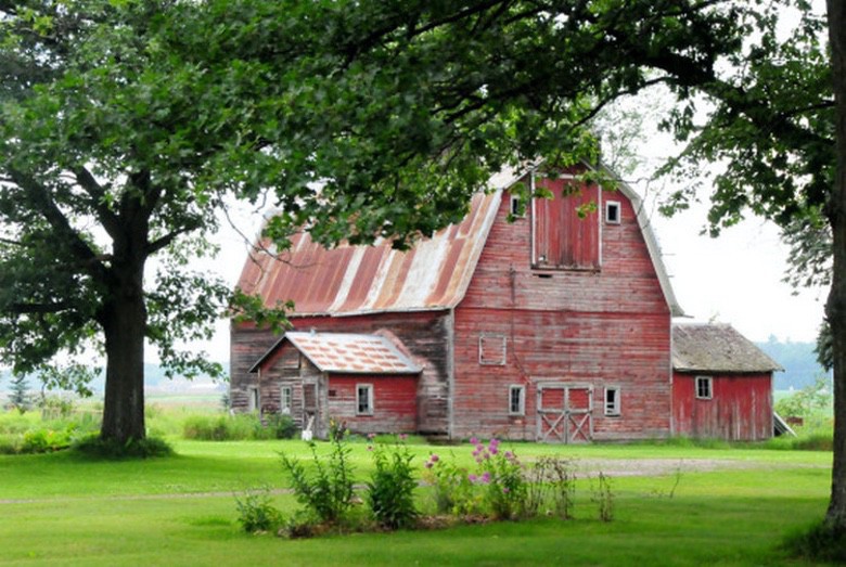 Picturesque Old Weathered Barns (1)
