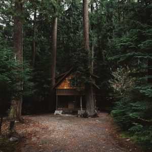 All I Need is a Rustic Little Cabin in the Woods (35 Photos) – Suburban Men