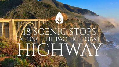 18 Scenic Stops Along the Pacific Coast Highway (1)