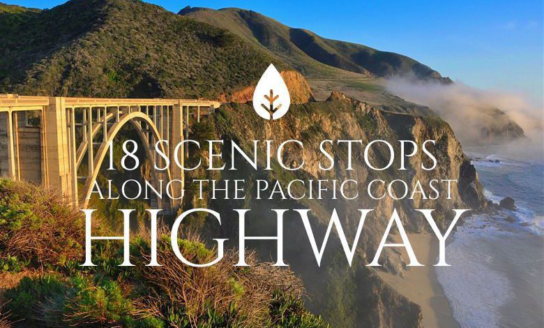 18 Scenic Stops Along the Pacific Coast Highway (1)