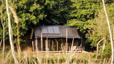 Former Boat Builder Designs Perfect Off-Grid Tiny Cabins (1)