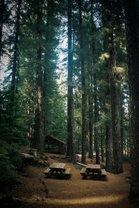 All I Need Is A Rustic Little Cabin in the Woods (24 Photos) – Suburban Men
