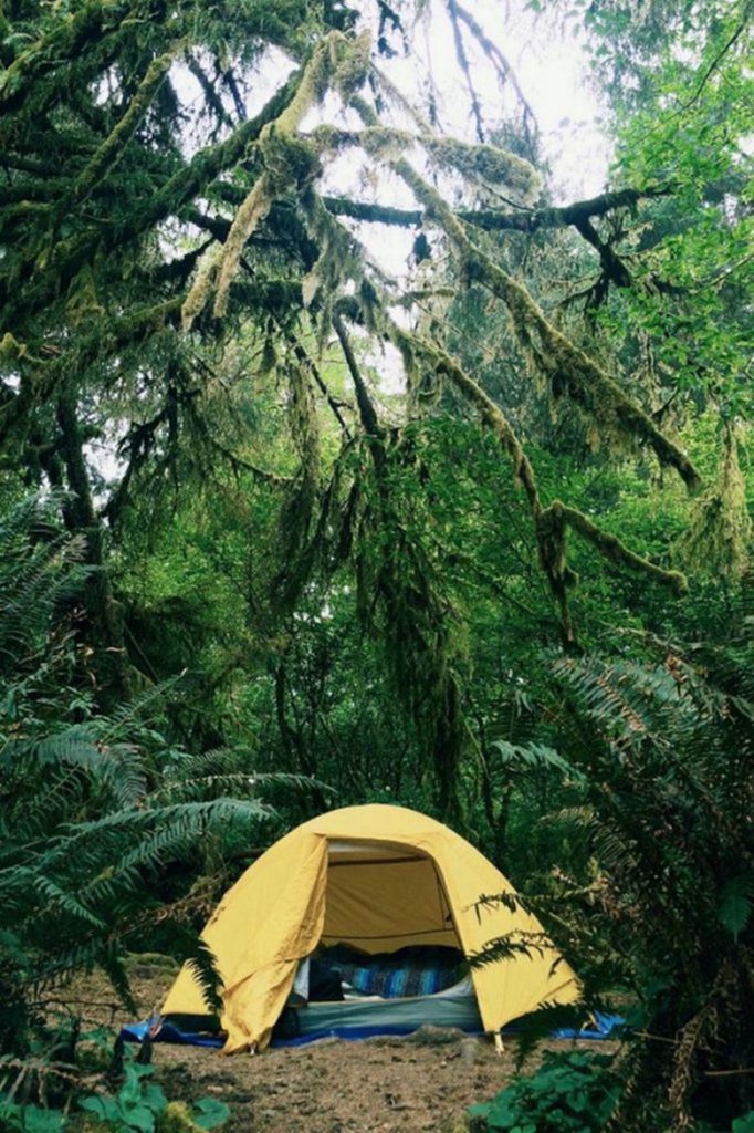 suburban men rise and shine outdoors camping hiking hunting fishing 20221123 111