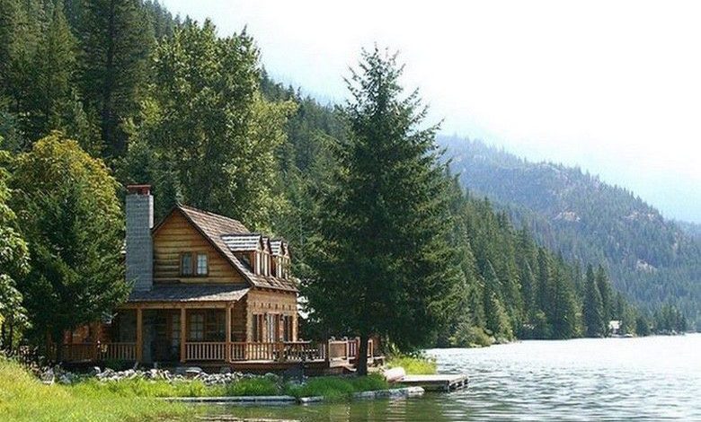all i need is a little cabin in the woods 20230313 127