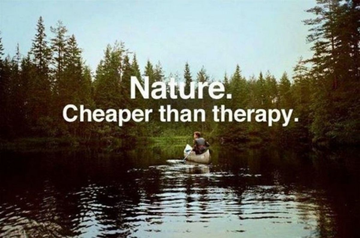 About nature с надписью. Cheaper than. Nature.com. Quotes about nature.