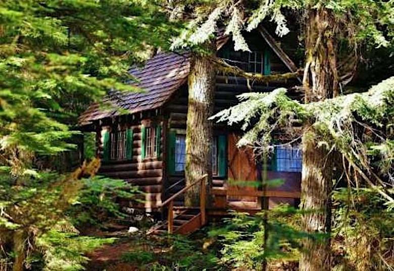 all i need is a little cabin in the woods 20240614 1013